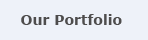 Our Portfolio