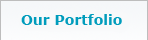 Our Portfolio